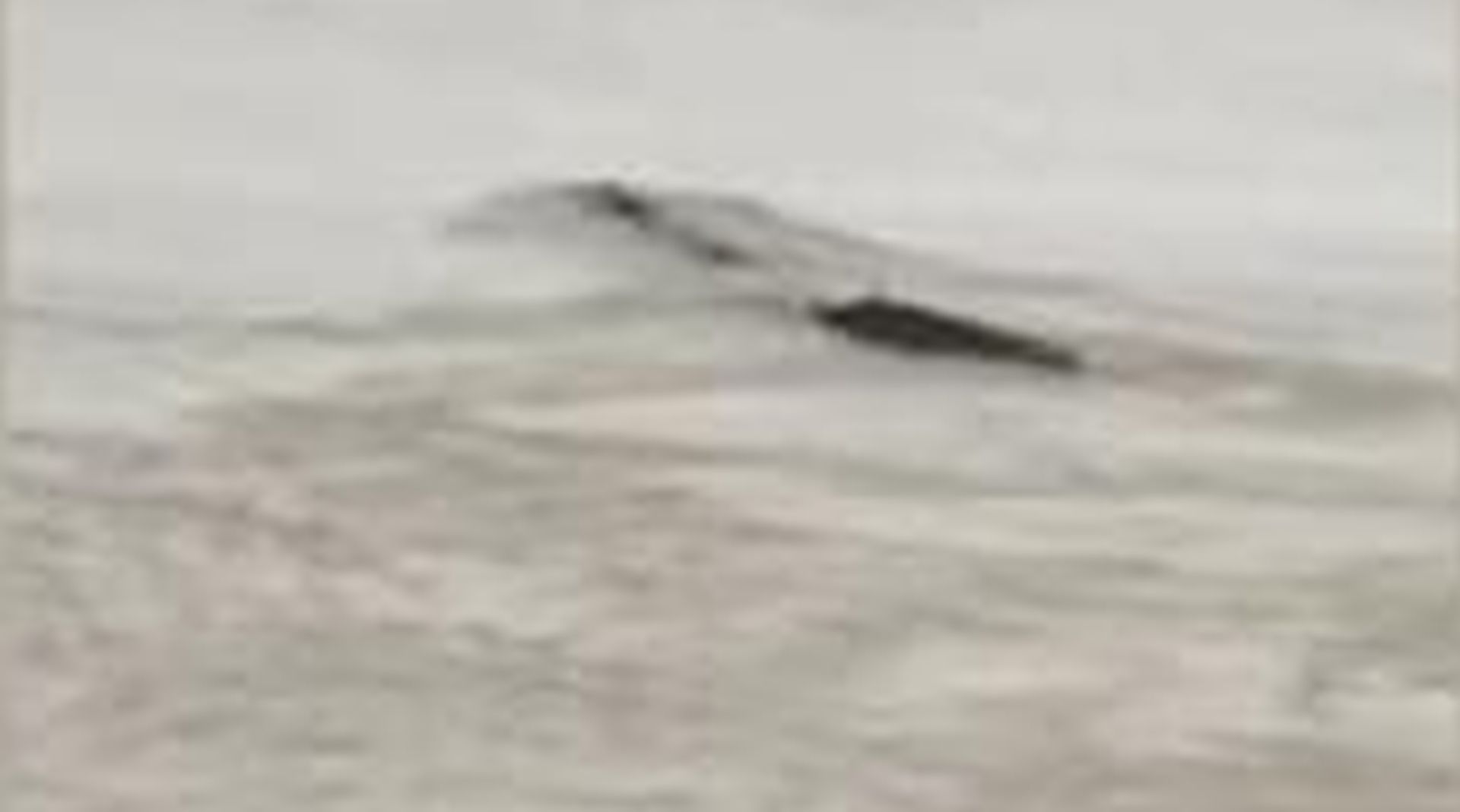 Kínai „Loch Ness-i szörnyet” láttak a Jangce-folyóban