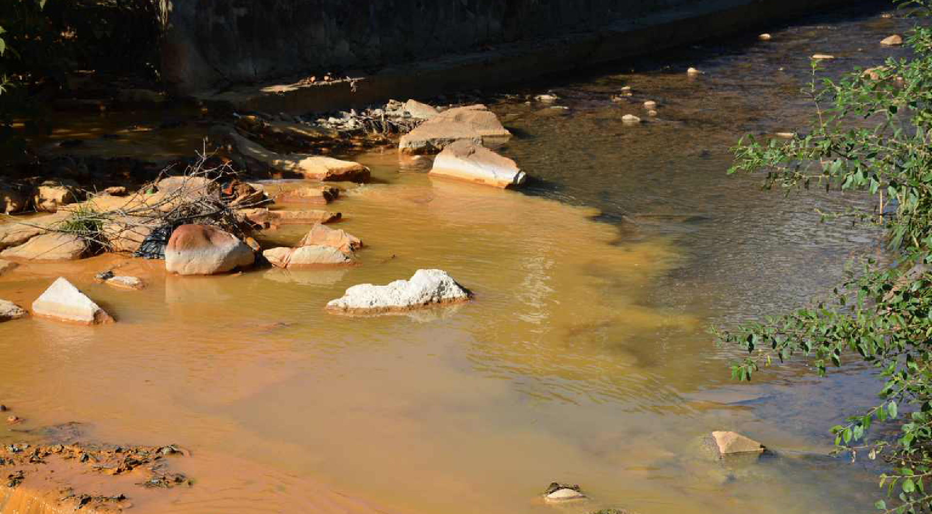 Az EP petíciós bizottsága elé került az erdélyi folyószennyezés