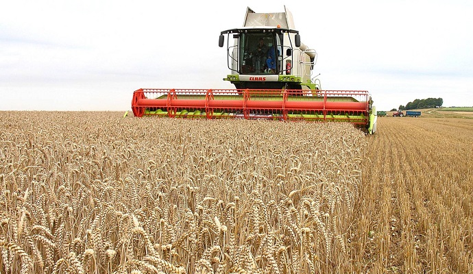 A gazdák szerint moldovai áruként érkezett az ukrán gabona Romániába