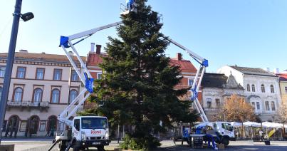 Már áll a főtéri karácsonyfa