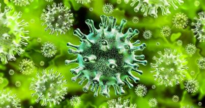 Koronavírus - Csökken a  fertőzött diákok száma