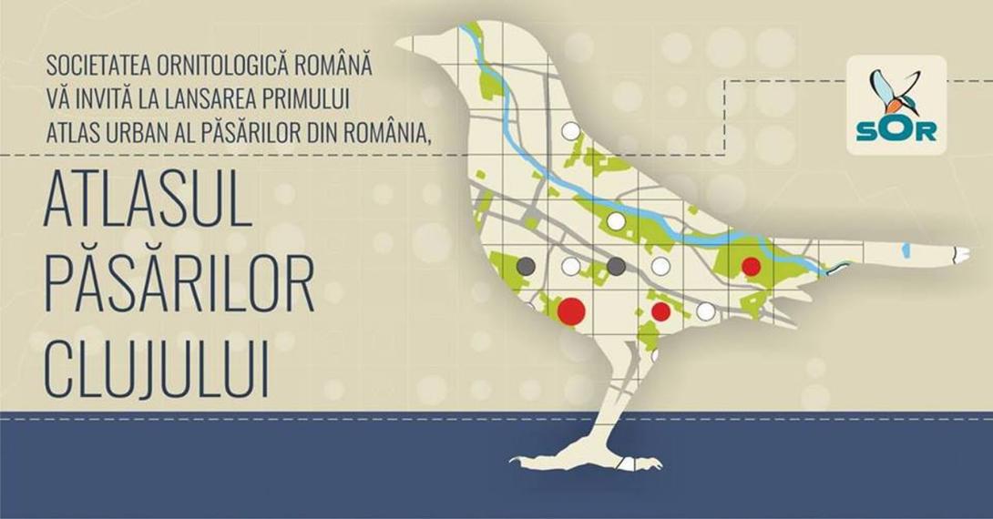 Kolozsváron mutatják be hazánk első városi madáratlaszát