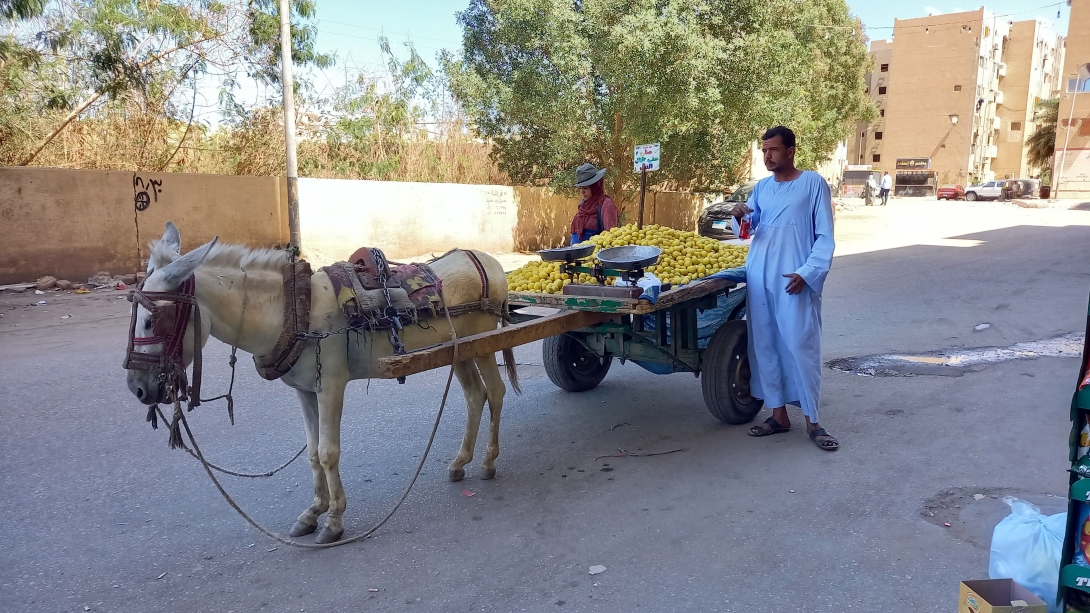 Fáraók és szfinxek földjén, a nem annyira turistabarát Egyiptomban (III. rész)