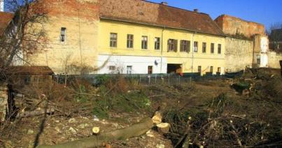 Nyomoz a rendőrség a Petőfi utcai fairtás ügyében
