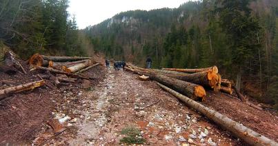 Fatolvajok