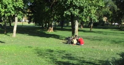 Tizenöt iraki migráns a Temesvár központjában levő parkban