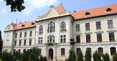 Maros megyei főtanfelügyelő: a szülők a hibásak
