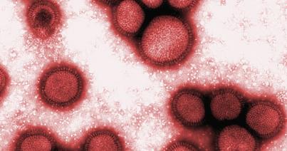 Újabb két halálos áldozat az influenza miatt