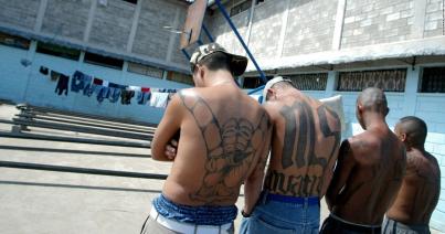 Trump külön tervet ígért az MS-13 ellen...