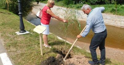Szentkirályok találkozója: ország­határokon átívelő értékteremtés