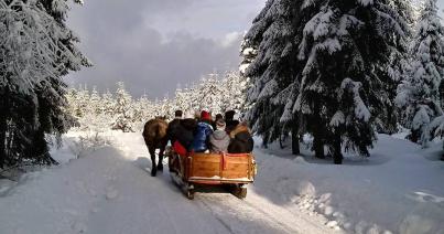 Több turista látogatott az országba tavaly: nőtt a vendégéjszakák száma is