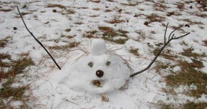 Februári tavasz: 17 fokra számíthatunk