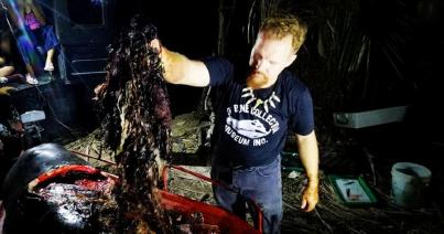 Negyven kilogramm műanyag zacskót találtak egy bálna gyomrában