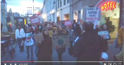 VIDEÓ - Az erdők törvénytelen kivágása ellen tüntettek