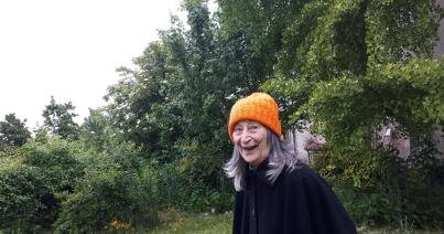 A grófkisasszony-elmélet