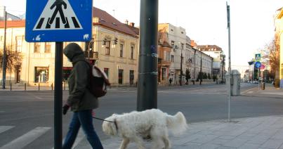 A gazdi sétáltatja a kutyát, vagy fordítva?