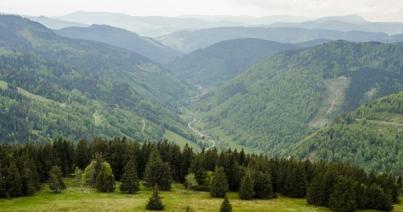 Másodjára is visszaperelték a román államtól erdővagyonuk egy részét Kemény János báró örökösei
