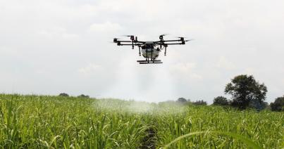 Öt év alatt megkétszereződött Románia agrár külkereskedelmi mérlegének hiánya