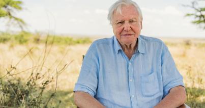 David Attenborough természettudóst a Föld bajnoka címmel tüntette ki az ENSZ