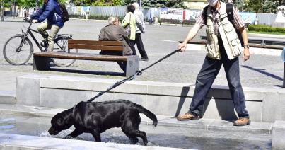 Válságos méretű az agyelszívás, Bukarest tétlenül szemléli