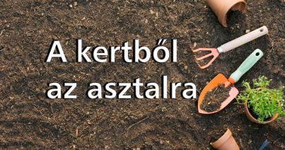 fejléc, a kertből az asztalra