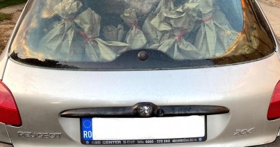 Zsóka, az én francia csodám
