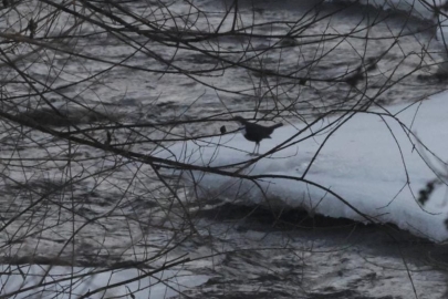 (Fotó: Yannick Schuster)