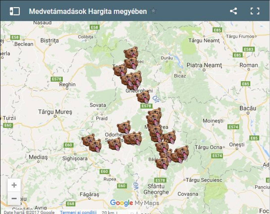 A lakosságot veszélyeztető medvék kilövését sürgetik a székelyföldi önkormányzatok