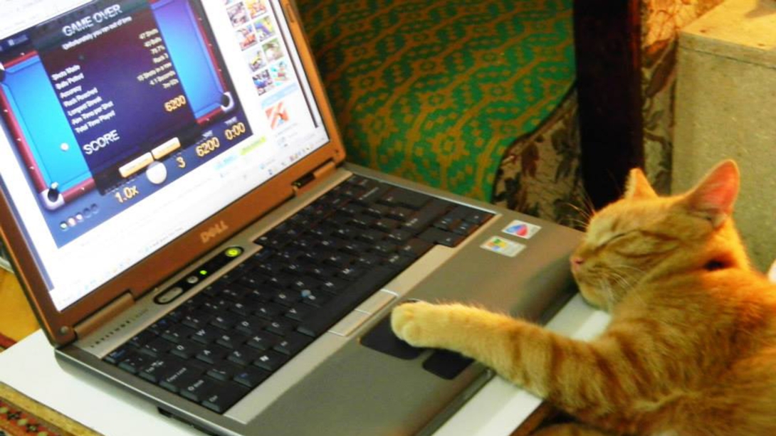Muszáj digitalizálódnod, ha óvodás, iskolás a gyereked
