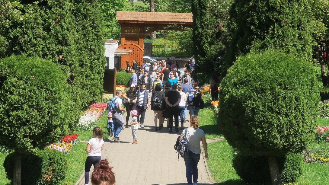 Legyen ingyenes jövőtől a belépés a botanikus kertbe?