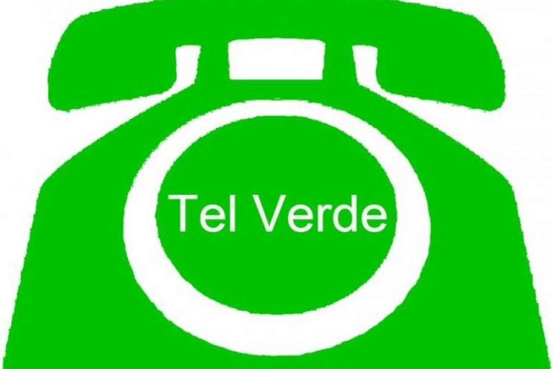 Zöldszámon érdeklődhetünk az új tanévről…