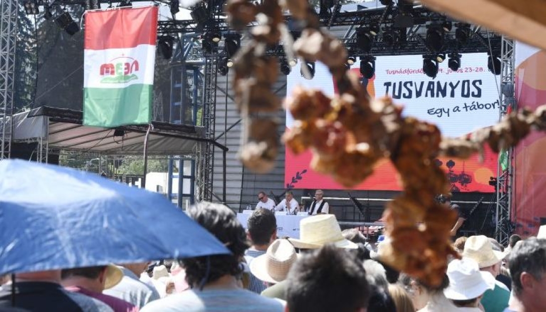 Az arabs szürke és a bibliai szamár