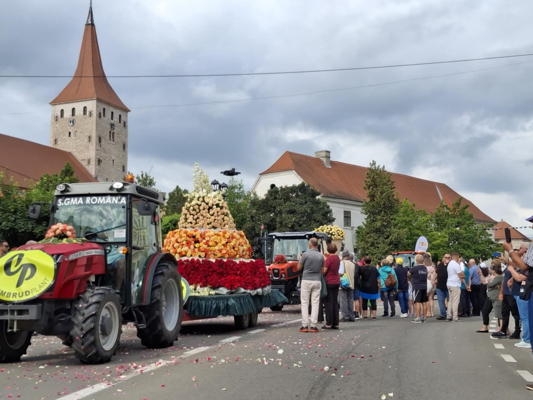 rózsafesztivál, Nagyenyed,
